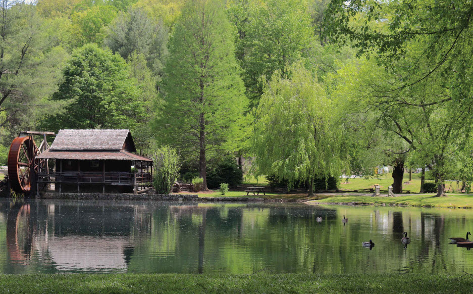Haywood Community College Arboretum, United States